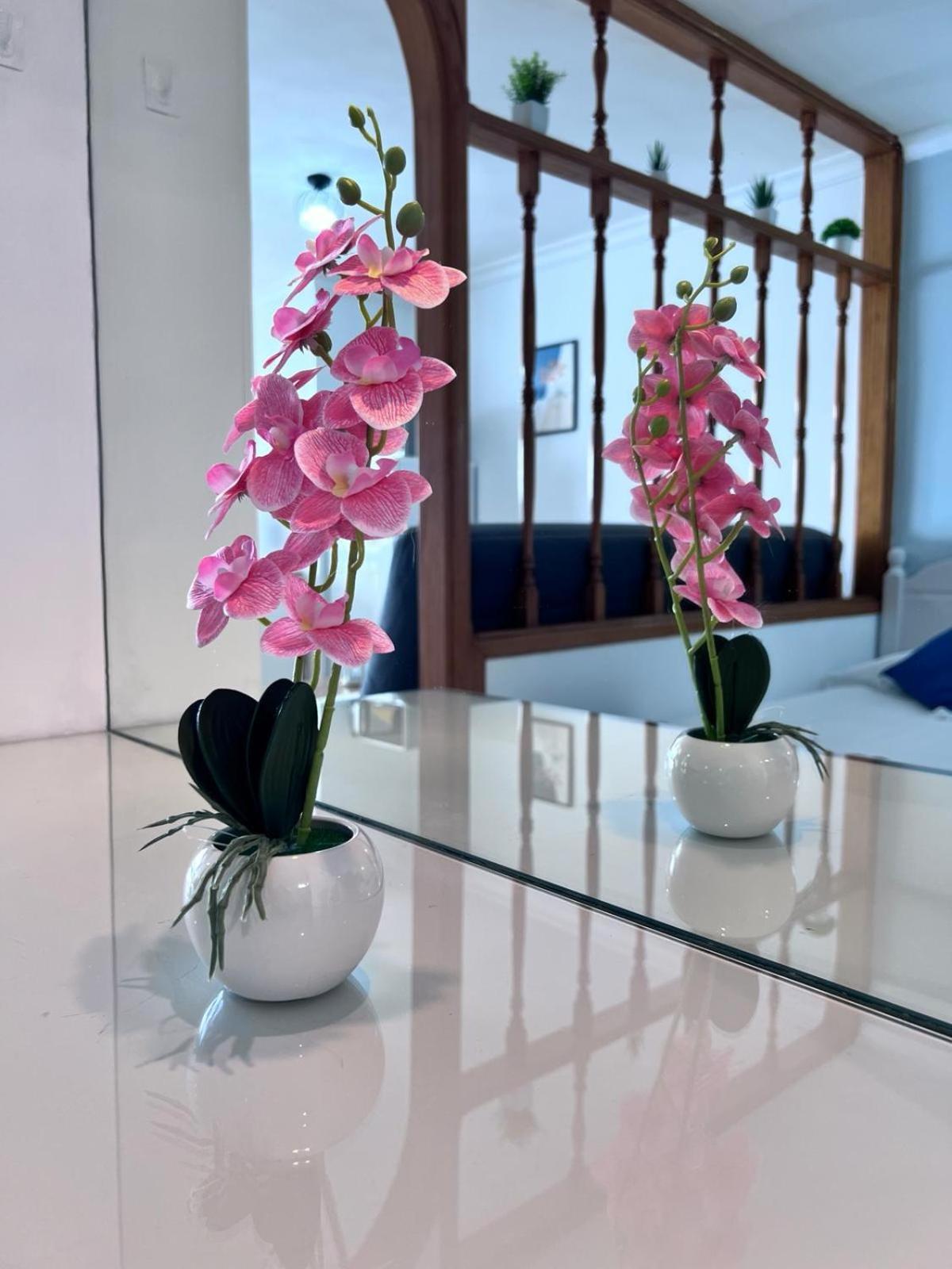 Apartamento-Estudio En La Playa Patalavaca Eksteriør billede